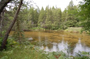 11237-kingrd-033 Solitude With Hundreds Of Acres Of State Land Across River
