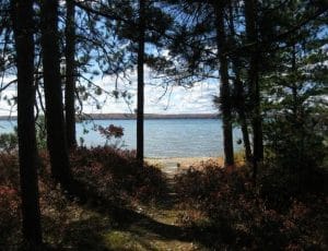 115 Forest Trail Higgins Lake, MI 48627 + Adjoining Property