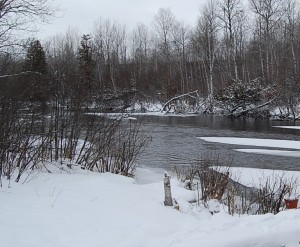North Branch Ausable River North of Lovells