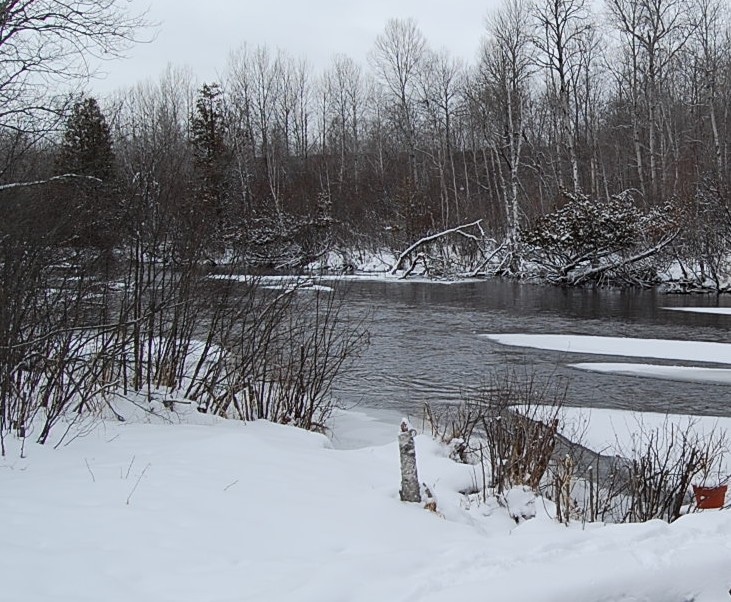 North Branch Ausable River Log Home Sold Ken Carlson Realty