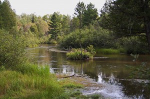 North Branch Ausable River