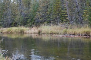 N Branch of Ausable River