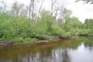 Roscommon waterfront real estate